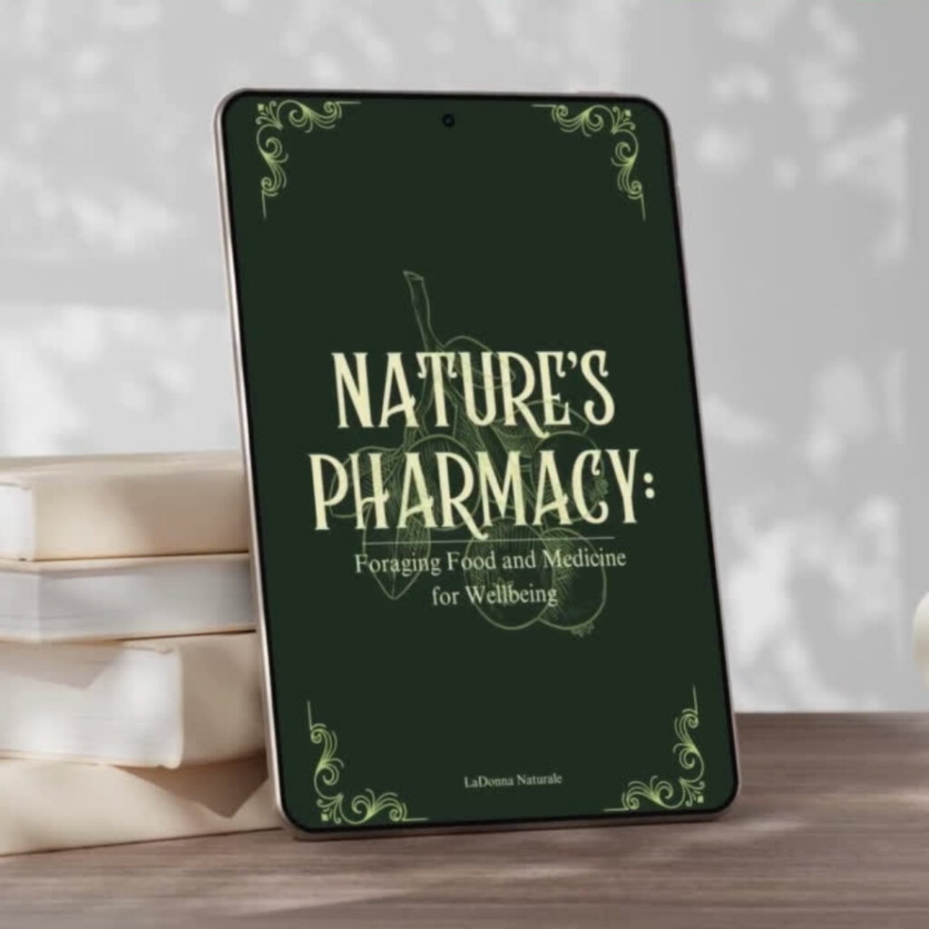 Nature's Pharmacy: Foraging for Food and Medicine